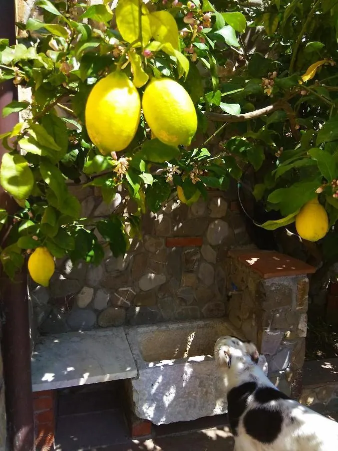 Jasmine Cottage Luni