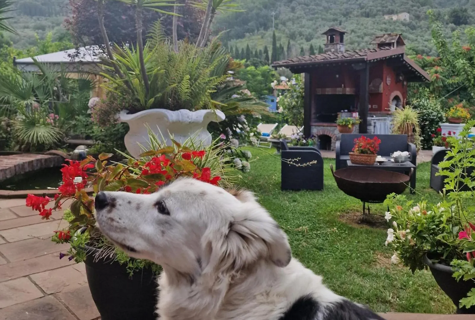 Jasmine Cottage Luni Italie