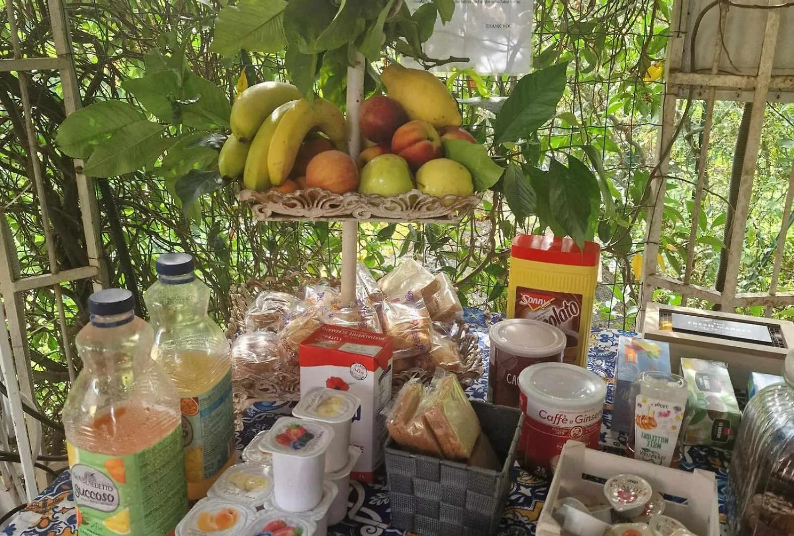 Bed & Breakfast Jasmine Cottage Luni Italy
